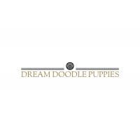 Dream Doodle Puppies