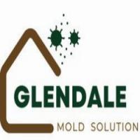 Mold Remediation Glendale Solutions