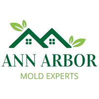 Ann Arbor Mold Remediation Solution