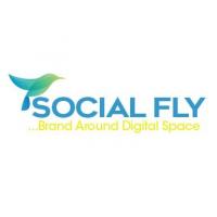 Socialfly Pro