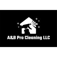 AnB Pro Cleaning