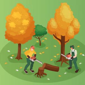 Tree Removal Services